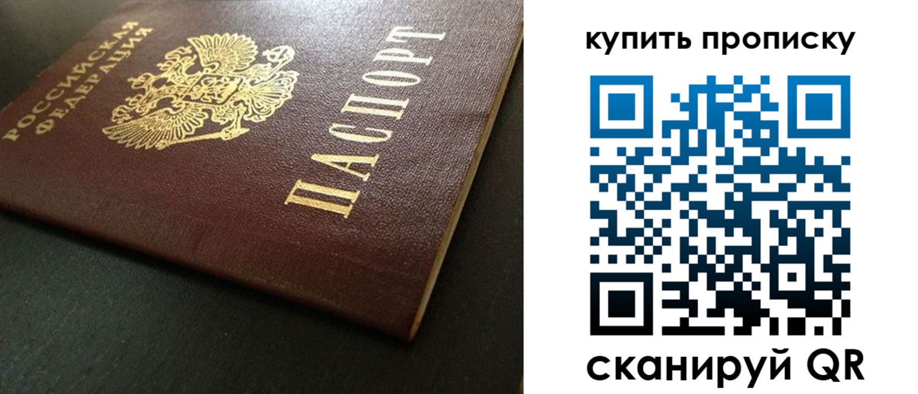 прописка законно в Елизово