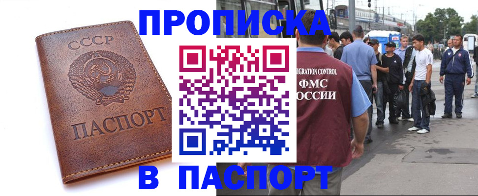 временная регистрация поиск в Елизово